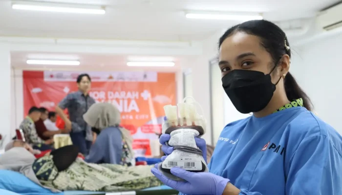 WhatsApp Image 2025-12-03 at 11.12.16