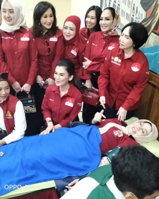 WhatsApp Image 2025-12-03 at 11.13.42